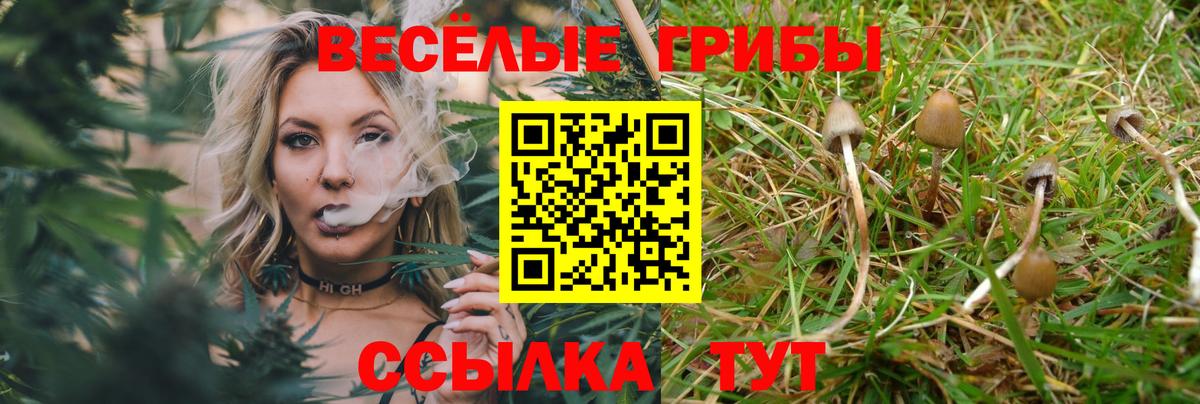 Кинешма  Галлюциногенные грибы мухоморы  Вход с VPN 