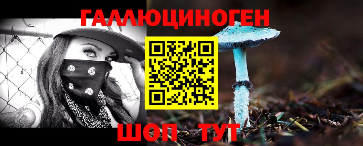 Псилоцибиновые грибы прущие грибы Кинешма